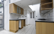Brondesbury kitchen extension leads